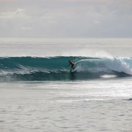 Daire Casa Da Fonte *