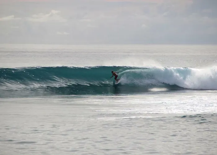 公寓 Casa Da Fonte *